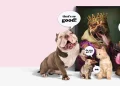 Pamper Your Family Pets with Purr and Dog: The Ultimate Location for Family Pet Lovers