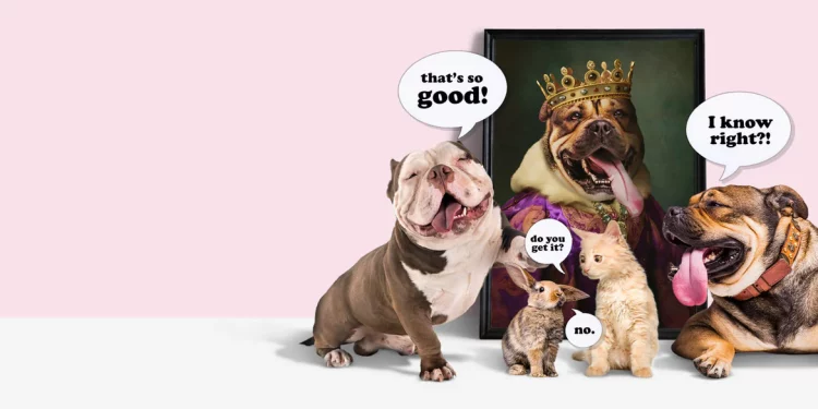 Pamper Your Family Pets with Purr and Dog: The Ultimate Location for Family Pet Lovers