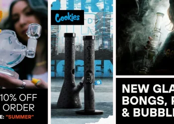 Raise Your Smoking Cigarettes Experience with Headshop.com’s Costs Products